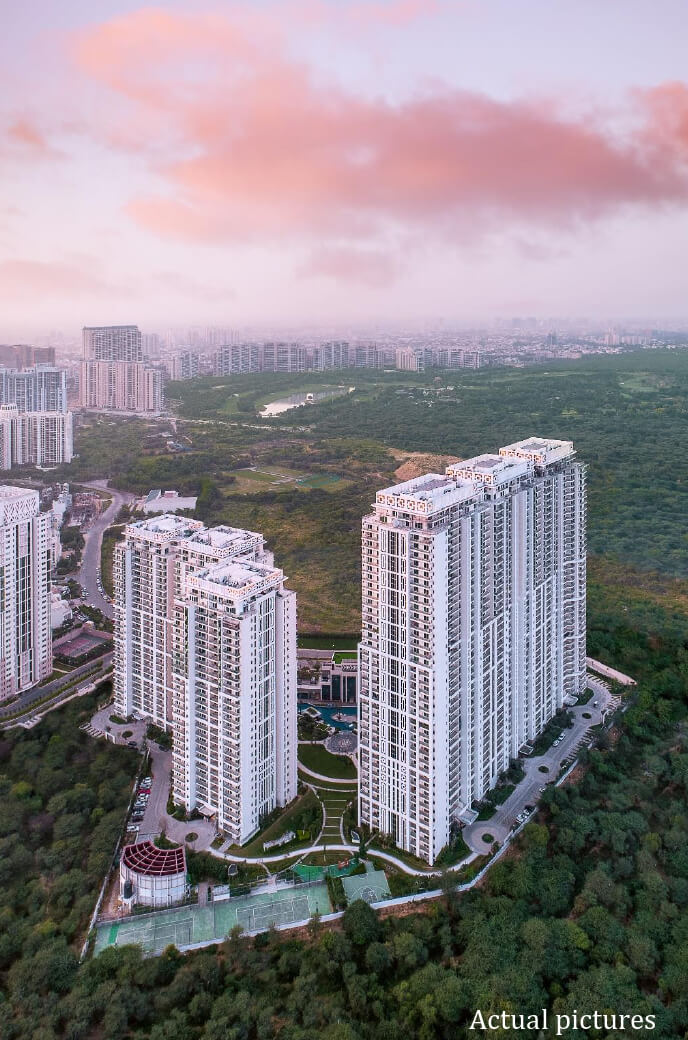 heighlight-banner-new